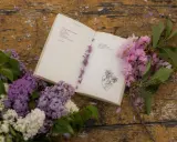 Un libro aperto con poesie d'amore passionali anonime, decorato con fiori lilla e rosa su un tavolo di legno consumato.