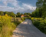 Szeroka droga gminna wewnętrzna prowadzi do gospodarstwa wśród zieleni i kwitnących żółtych kwiatów.
