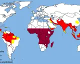 Världskarta som visar malaria utbredning. Rött indikerar högt riskområde, mörkrött högt riskområde med rekommenderad kemoprofylax. Gult visar låg risk.