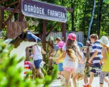 Dzieci biegną do "Ogródka Farmera", gdzie czekają na nie atrakcje.