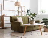Aménagement petit studio : canapé vert, table basse ovale, étagères et plantes vertes créent un espace cosy et fonctionnel.