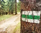 Kolor szlaku PTTK: Czy to trudność? Obalamy mit, wędruj mądrze!