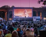 Stor publik njuter av utomhusbio i Stockholm under en rosa kvällshimmel. En stor duk visar en filmscen.