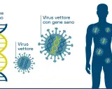Illustrazione del processo di terapia genica: un gene sano viene inserito in un virus vettore, che poi entra in un corpo umano per correggere difetti genetici.