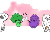 Un chien, un brocoli et une bactérie s'amusent. Peut-on donner des probiotiques humains à un chien ?