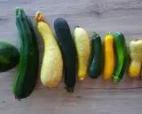 Une collection de courgettes de différentes couleurs et formes, dont une courgette italienne longue verte foncée.