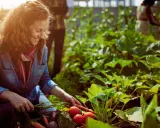Femme souriante récoltant des carottes et des tomates dans un potager sans entretien luxuriant.