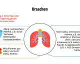 Ursachen von Asthma: Allergisches Asthma durch Reize wie Tierhaare, Pollen, Hausstaubmilben. Nicht-allergisches Asthma durch Infektionen, Kälte, Rauch oder Medikamente. Mischformen sind ebenfalls möglich.