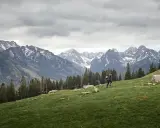Rusinowa Polana z Wierchu Porońca: Najpiękniejsze Tatry bez wysiłku