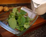 Préparation du purin d'ortie : de l'eau chaude est versée sur des orties fraîches dans un plat en verre. Des pommes de terre sont visibles en arrière-plan.