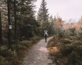 Osoba z dzieckiem w nosidle idzie leśną ścieżką. Obok drzewa znak czarnego szlaku, który oznacza trasę turystyczną.