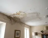 Techo con manchas de agua y pintura descascarada, indicando **humedad en casa**. Se ven ventanas y lámparas.