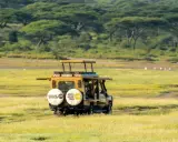 Gul safari-jeep kör genom savannen. För att skydda sig mot malaria, malariaprofylax är viktigt för resenärer.