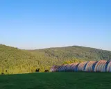 Długi, zardzewiały hangar na tle zalesionych wzgórz Beskidu Sądeckiego.
