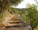 Sendero de piedra en ascenso, rodeado de vegetación mediterránea. Un camino ideal para rutas senderismo Alicante.