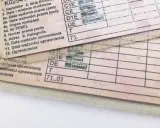 Dokumenty prawa jazdy z widocznymi polami: "Data wydania prawa jazdy" i "Data wydania uprawnienia", a także kategorie uprawnień.
