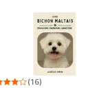 Portrait d'un bichon maltais blanc, joyeux, avec un texte "Guide Bichon Maltais".