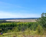 Pustynia Błędowska rozciąga się pod błękitnym niebem, otoczona zielonymi lasami. Dwie osoby siedzą na wzgórzu, podziwiając krajobraz.