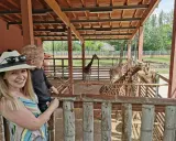 Rodzina w zoo, karmiąca żyrafy. Węgry, gdzie jechać na wakacje z dziećmi? Zoo w Budapeszcie to świetny pomysł!