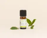 Flacon d'huile essentielle de laurier noble, entouré de feuilles fraîches. Un trésor purifiant et fortifiant.