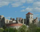 Zamek Tenczyn, ruiny kamiennej twierdzy z czerwoną cegłą i polską flagą, na tle błękitnego nieba z chmurami.