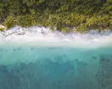 Traumhafter costa rica strand mit Palmen und türkisfarbenem Meer.