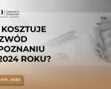 Koszt rozwodu w Polsce: 300 zł czy 15 000 zł? Sprawdź!