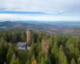 Wieża widokowa na borówkowej górze pośród gęstego lasu. Rozległa panorama krajobrazu.