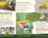 Wildpark Schwarze Berge: Tiere, Preise, Anfahrt Ihr Guide