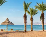 Spiaggia con palme, lettini e ombrellone di paglia. Ideale per un viaggio in Giordania, consigli per relax sul Mar Rosso.