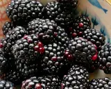 Ein Schälchen voller saftiger Brombeeren, die zeigen, wie gesund und lecker diese Früchte sind.