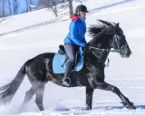 Eine Reiterin in blauer Jacke genießt das **reiten im schnee** auf einem schwarzen Pferd. Der Schnee spritzt unter den Hufen auf.