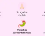 Síntomas comunes en la semana 11 de embarazo: cambios en uñas/pelo, olfato agudizado, manchas solares, encías sensibles, molestias gastrointestinales y calambres.