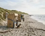 Ein kleiner Hund wartet geduldig am hundestrand nordsee neben Strandkörben. Im Hintergrund spazieren Menschen mit ihren Hunden am Meer.