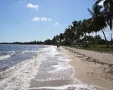 Piękna plaża, palmy, turkusowa woda. Idealne miejsce, by zapytać: Kuba kiedy jechać?