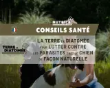 Conseils santé : la terre de diatomée pour lutter naturellement contre les parasites chez le chien. Fabriqué en France.