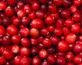 Gros plan sur une multitude de canneberges rouges et brillantes, rappelant les nombreux canneberge bienfaits pour la santé.