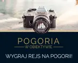 Wygraj lustrzankę: Gdzie szukać konkursów i jak wygrać?