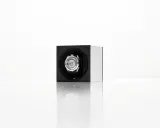 Caricatore automatico per orologi con movimento a vista. Scopri come caricare orologio automatico con questo elegante accessorio.