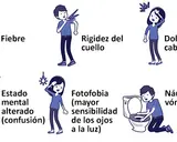 Meningoencefalitis: síntomas clave y por qué actuar rápido salva vidas