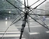 Przezroczysty parasol w deszczu, z widocznym stelażem i kroplami wody. Zastanawiasz się, czy można zabrać parasol do samolotu?