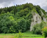 Zielony las i skaliste zbocza, idealne na wędrówkę trasą Maczuga Herkulesa.