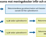 Vaccinationsrekommendationer mot meningokocker för vuxna. För personer 25 år eller yngre rekommenderas grundvaccination och booster. För äldre än 25 år beror det på tiden sedan splenektomi.