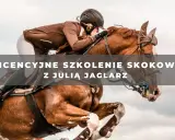 Jeździec w brązowej kurtce skacze na koniu przez przeszkodę.