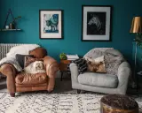 Un cane bianco su una poltrona di pelle marrone, con pareti color marrs green e quadri di animali.
