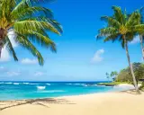 Traumhafter Hawaii Beach mit Palmen, türkisblauem Wasser und sanften Wellen unter strahlend blauem Himmel.