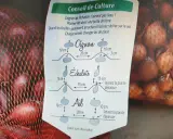 Conseils pour savoir quand récolter les échalotes : arrachez-les quand les feuilles jaunissent et laissez-les sécher. L'image montre aussi la plantation d'oignons et d'ail.