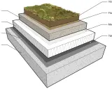 Detaljerad illustration av en sedumtak konstruktion med lager som växtbädd, fiberduk, isolering och tätskikt.
