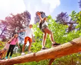 Niños en un campamento de verano practicando equilibrio sobre un tronco caído en un bosque soleado.
