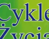 Niebieskie litery na zielonym tle tworzą napis "Cykle życia". Numerologia pomaga zrozumieć te cykle.